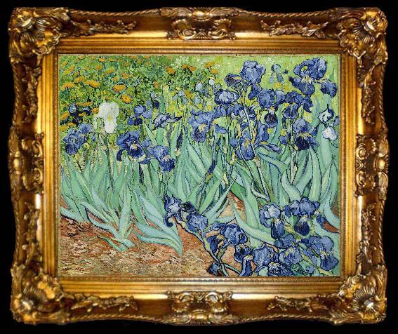 framed  Vincent Van Gogh Irises, ta009-2